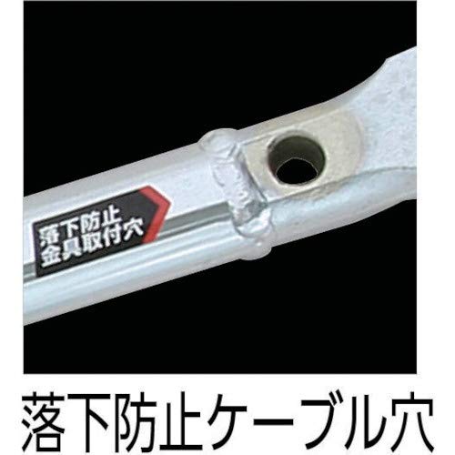 HIRATA ごくかるバール 3
