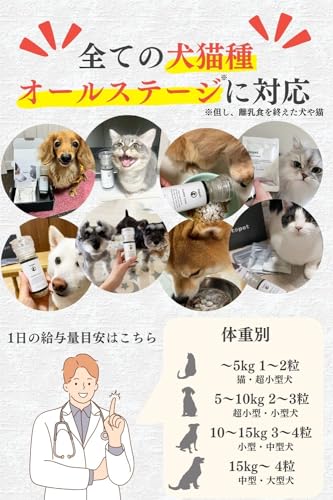  お口のふりかけ 2