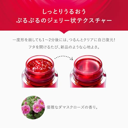 ジェリー アクアリスタ 8