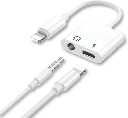 iphone変換プラグ 1