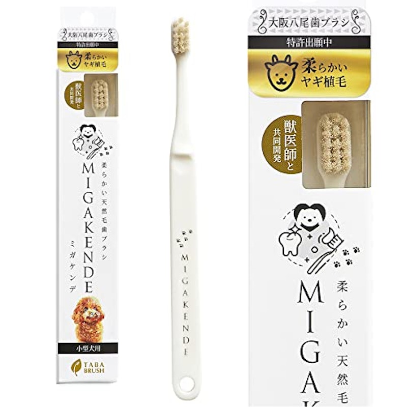柔らかい天然毛歯ブラシ 1