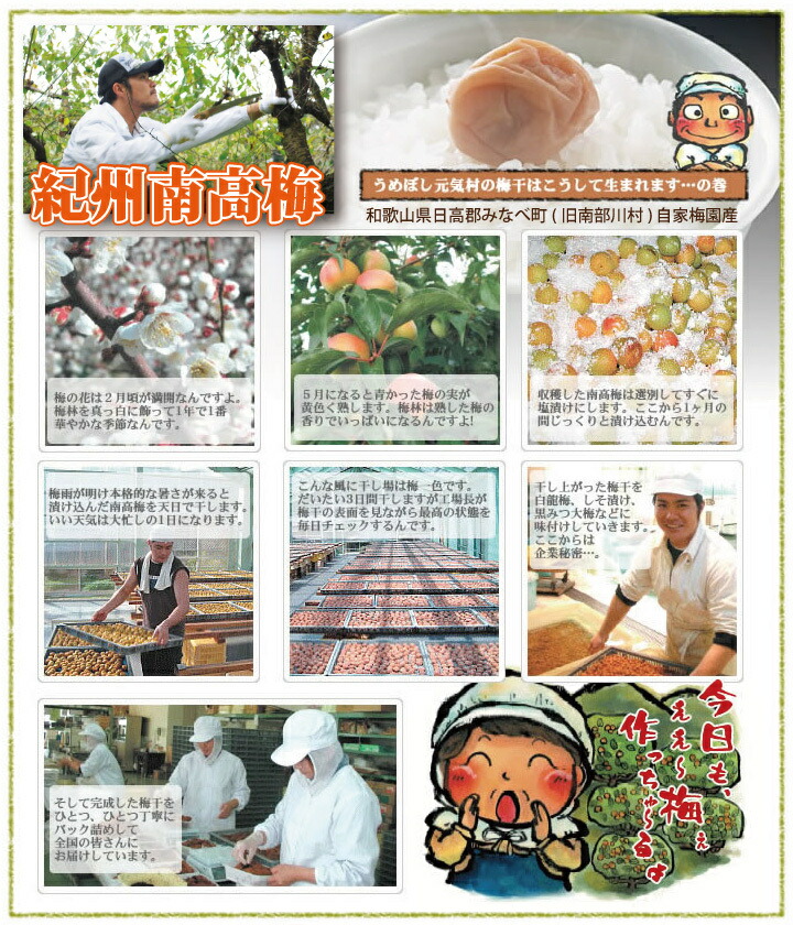 梅のお茶漬け 4