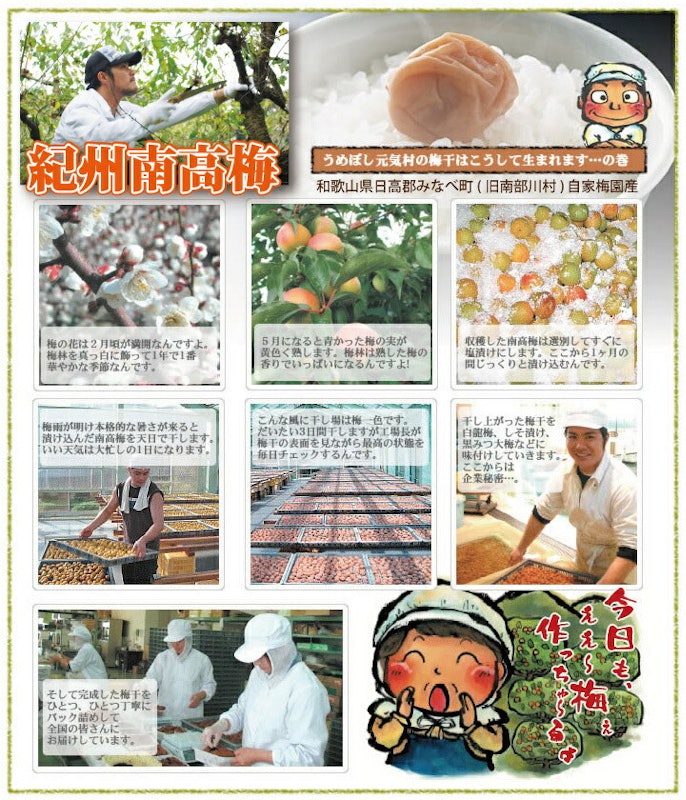 梅のお茶漬け 4