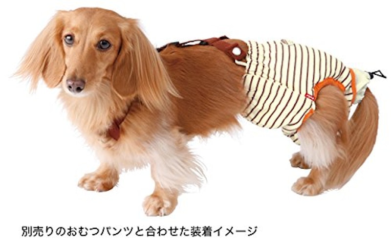 22年 犬用オムツのおすすめ人気ランキング35選 Mybest 22年 犬用オムツのおすすめ人気ランキング35選 Mybest