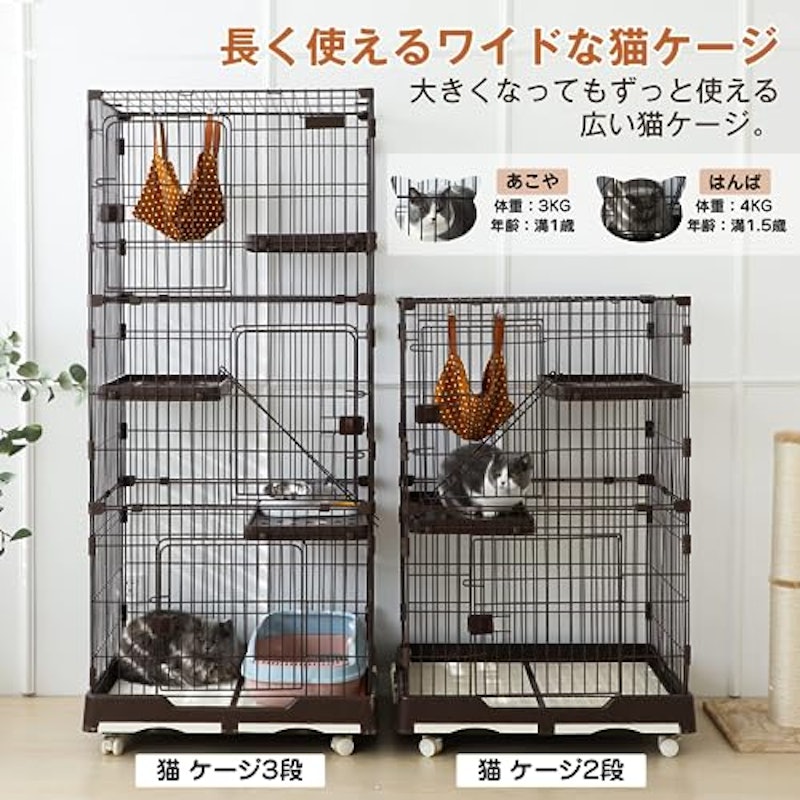 猫ケージ 2