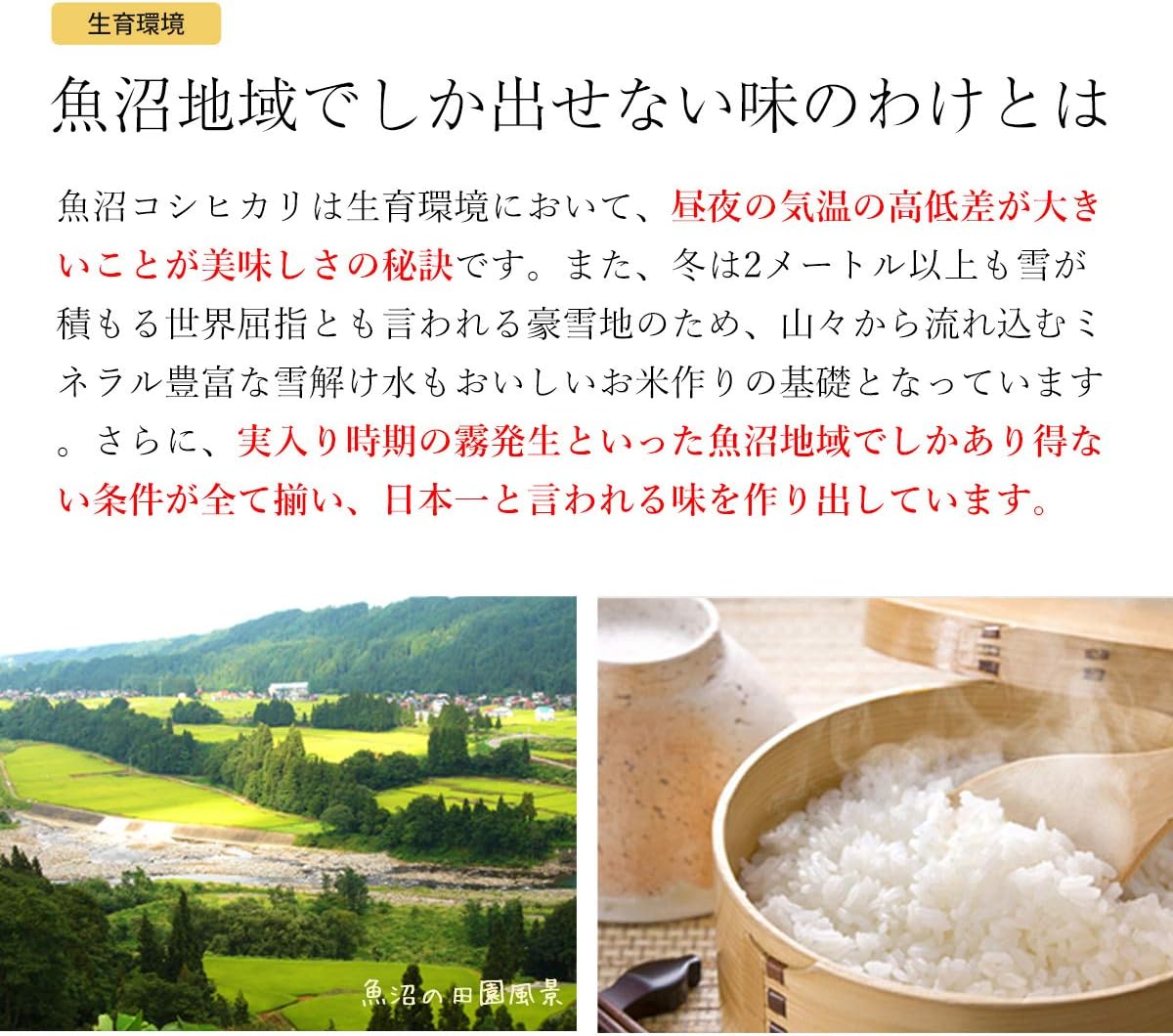 魚沼産コシヒカリ 無洗米 2合パック 3