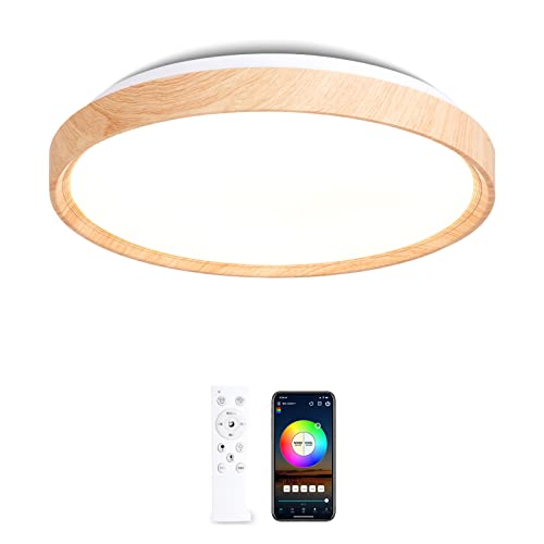 LEDシーリングライト 1