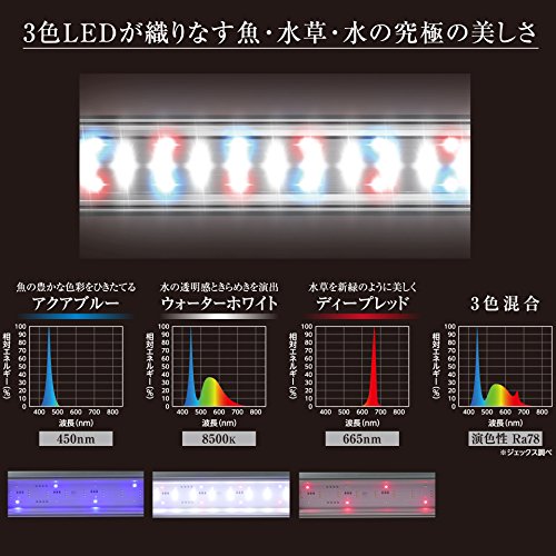 クリア LED POWERⅢ 3