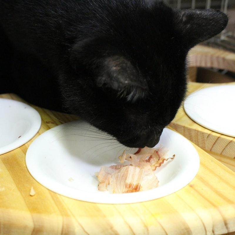 ペットイート 無添加猫ちゃんのかつお削り 6
