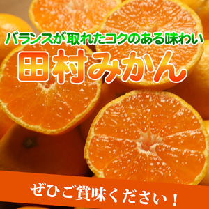 田村みかん 5