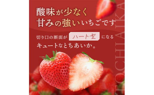 とちあいか 6