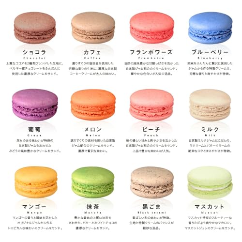 リボンつき 天使がくれたマカロン 9個入 6