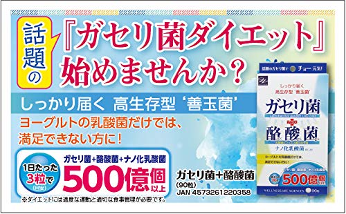 ガセリ菌＋酪酸菌 3
