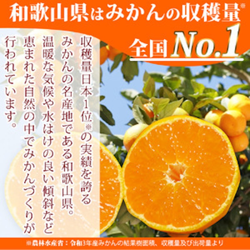 田村みかん 3