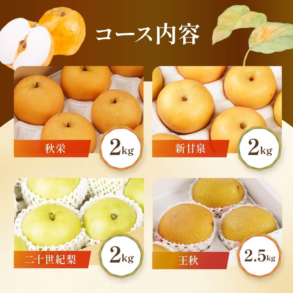梨の食べ比べ 4種類コース 4