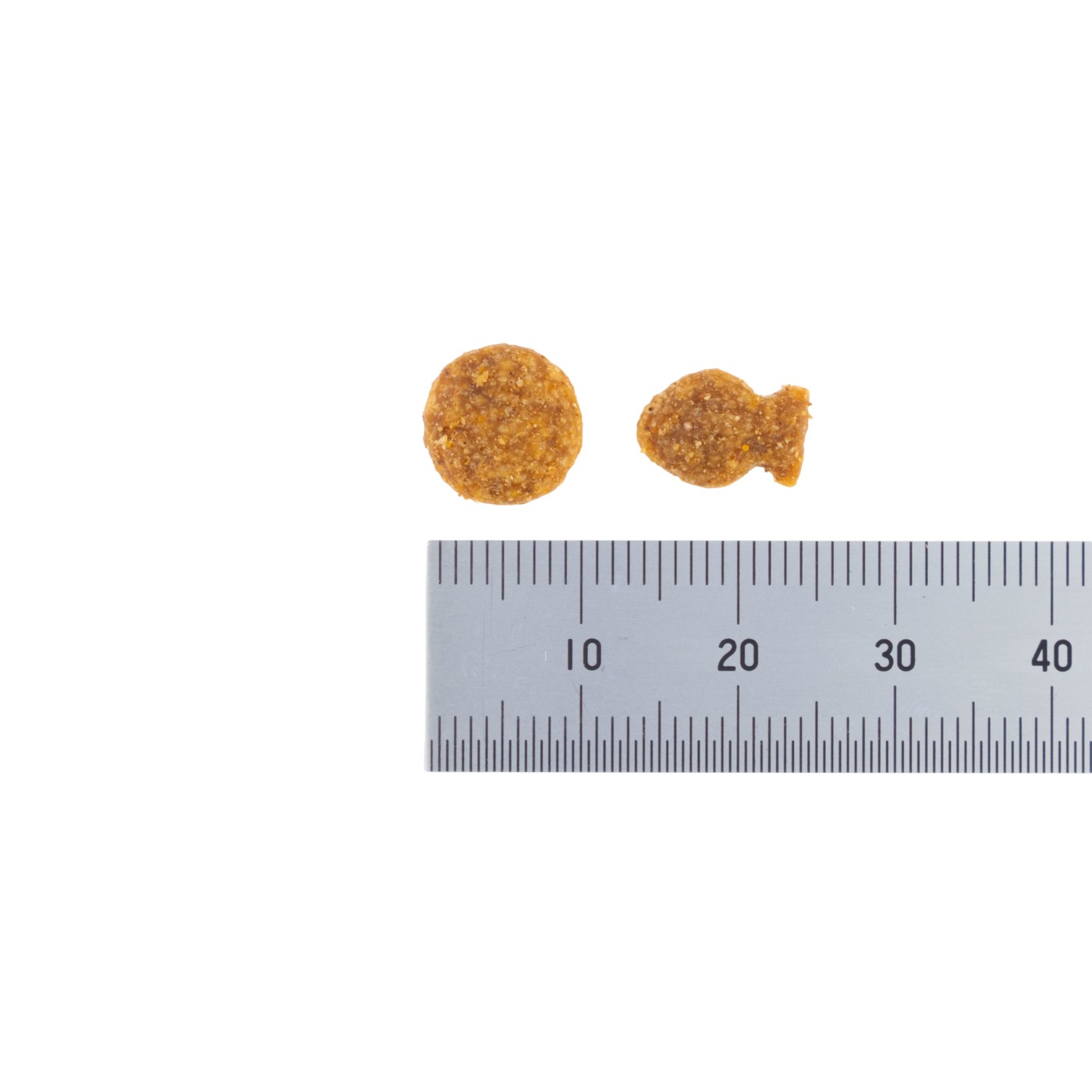 キャット 腎臓の健康維持 6