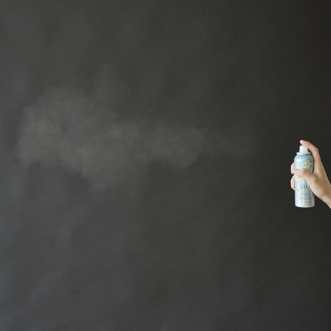 サラ 髪コロン Bを全39商品と比較 口コミや評判を実際に使ってレビューしました Mybest