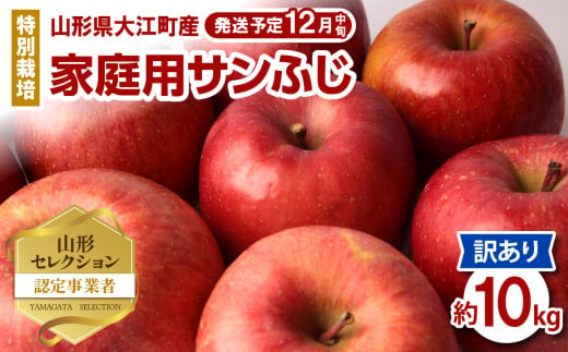特別栽培 訳あり 家庭用サンふじ 鈴木果樹園 1