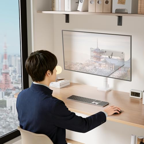 Pro PCモニターアーム 2