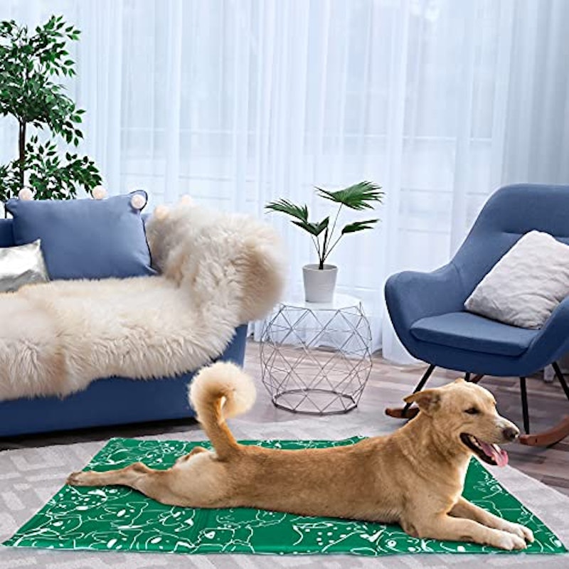 22年 犬クールマットのおすすめ人気ランキング38選 Mybest 22年 犬クールマットのおすすめ人気ランキング38選 Mybest