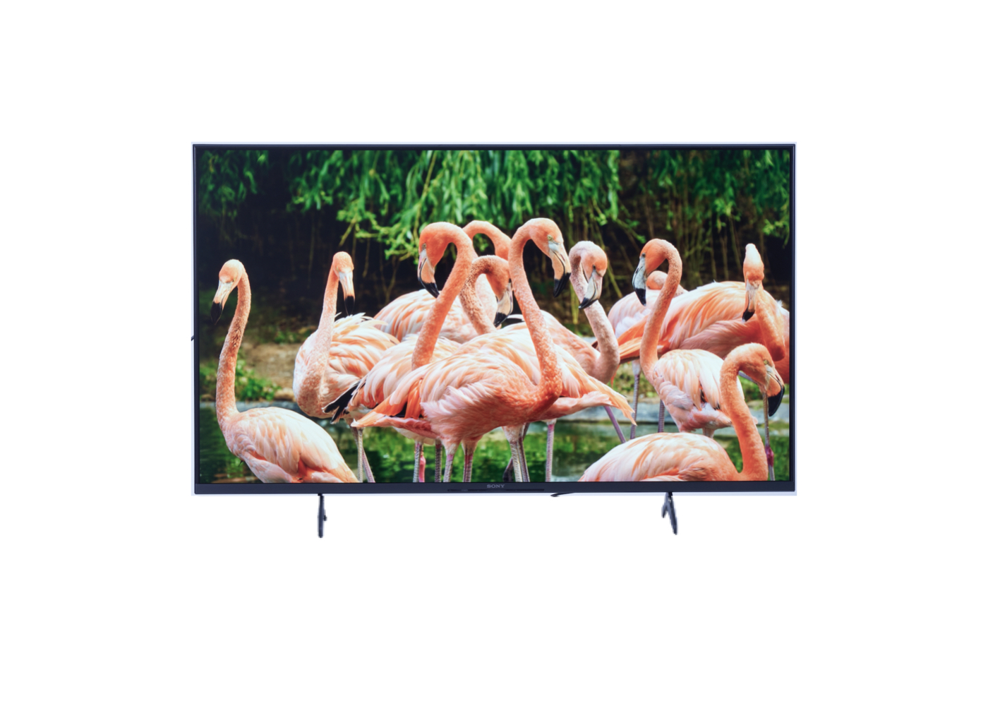 【新品】SONY BRAVIA KJ-50X80WK(50インチ) 液晶テレビ BRAVIA(ブラビア) KJ-50X80WK [50V型 /Bluetooth対応 /4K