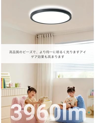 黒いシーリングライトのおすすめ人気ランキング【2026年5月】 | マイベスト
