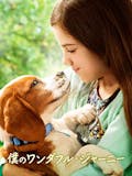 犬映画のおすすめ人気ランキング【2026年5月】 3
