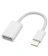 Aksenli Lightning USB 変換アダプタ 1