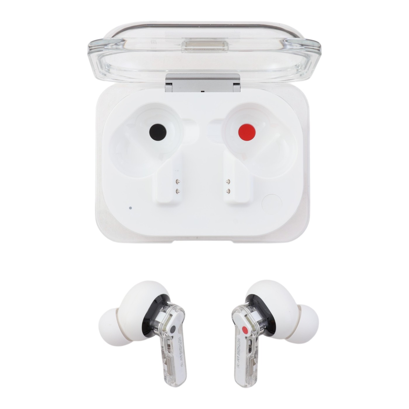 Ear (a)  3