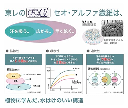 王様の夢枕エアロ 2