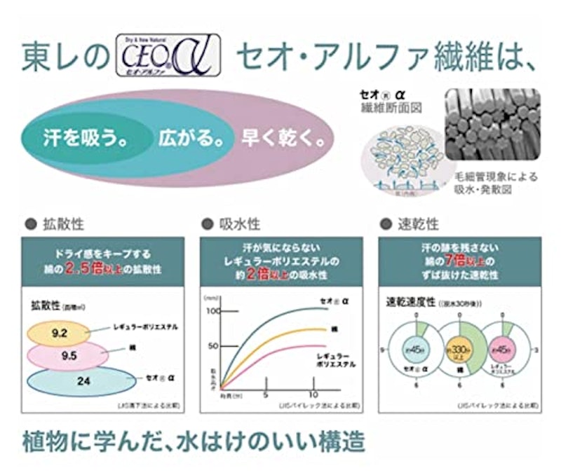 王様の夢枕エアロ 2