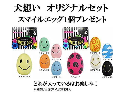 グレインフリー ターキー 室内飼育全年齢対応 3