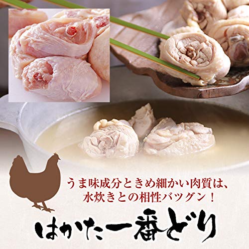 博多若杉 プレミアム水炊き セット 3