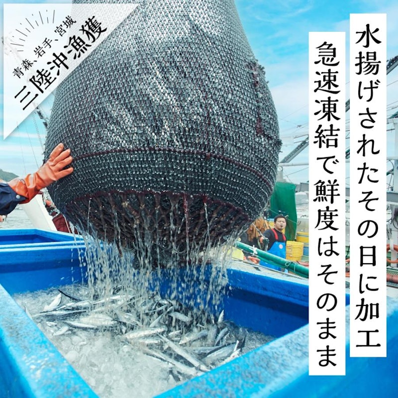 お刺身用さんま 5