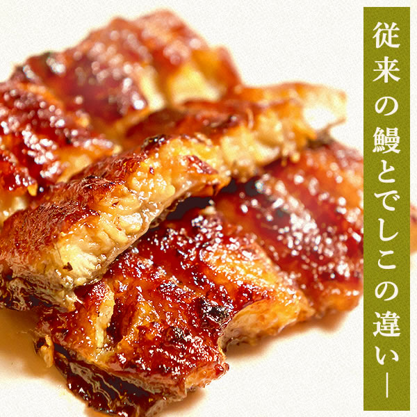 うなぎの蒲焼き 10