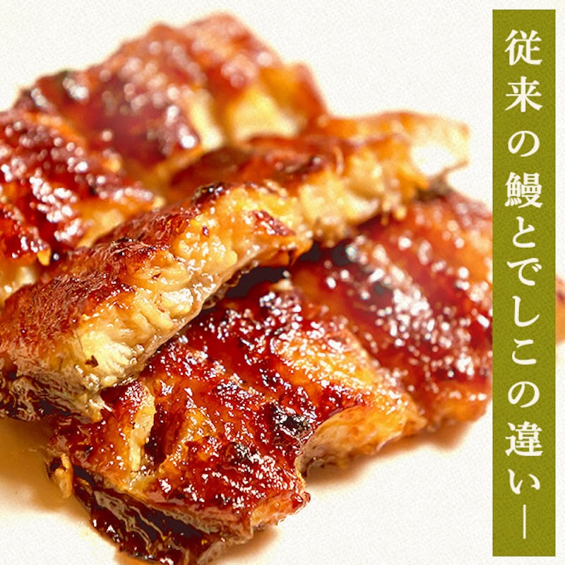 うなぎの蒲焼き 10