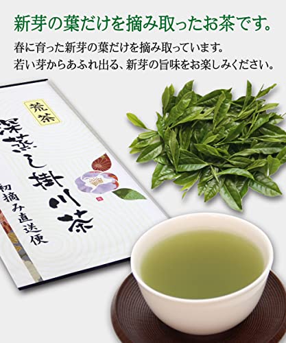 荒茶 深蒸し掛川茶 2