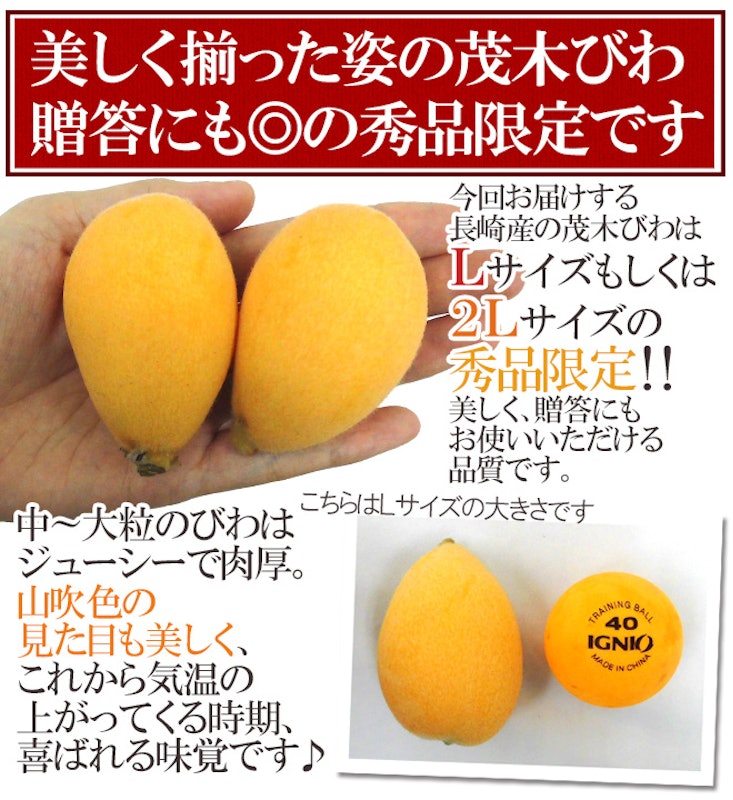 茂木びわ 6