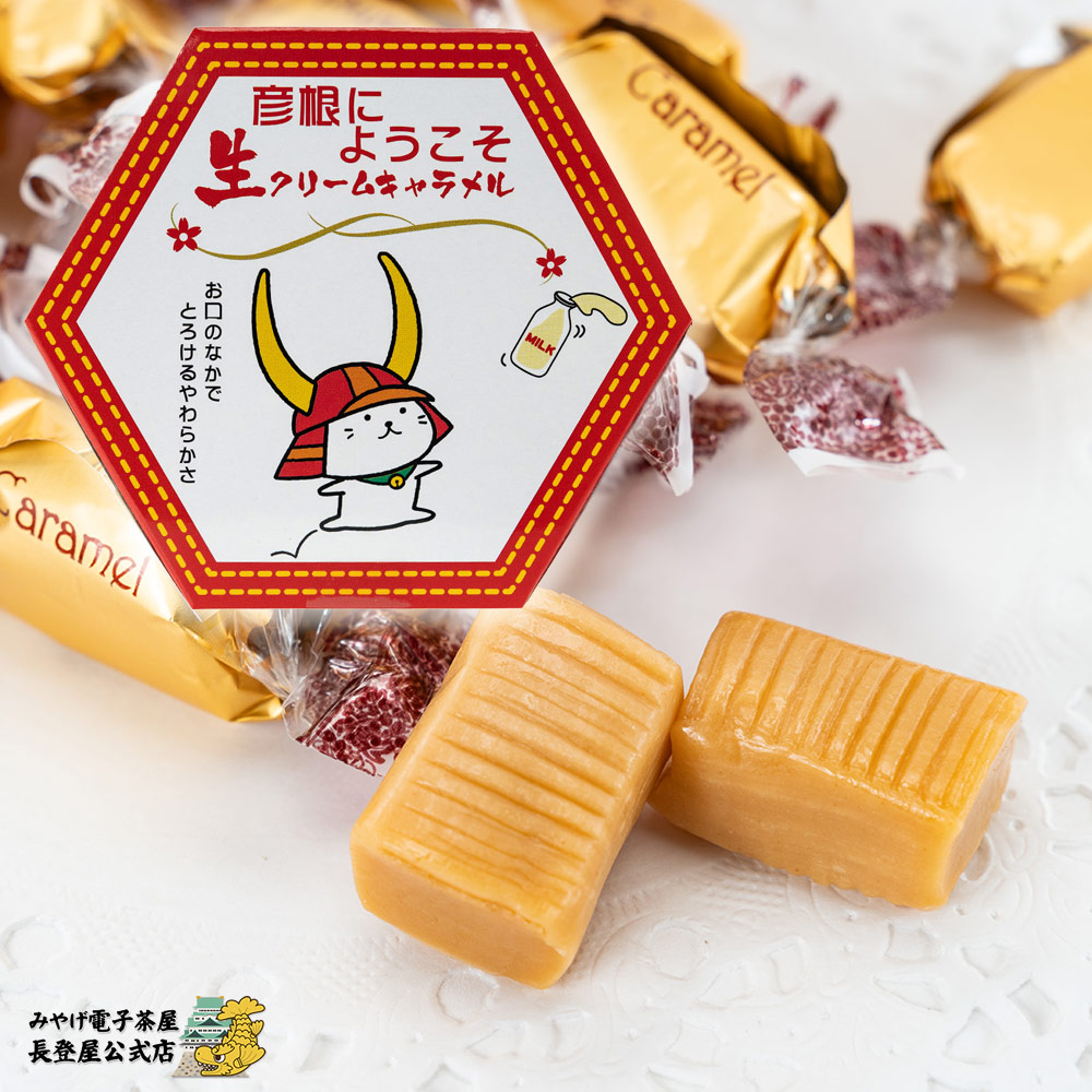 ひこにゃん・彦根にようこそ 1