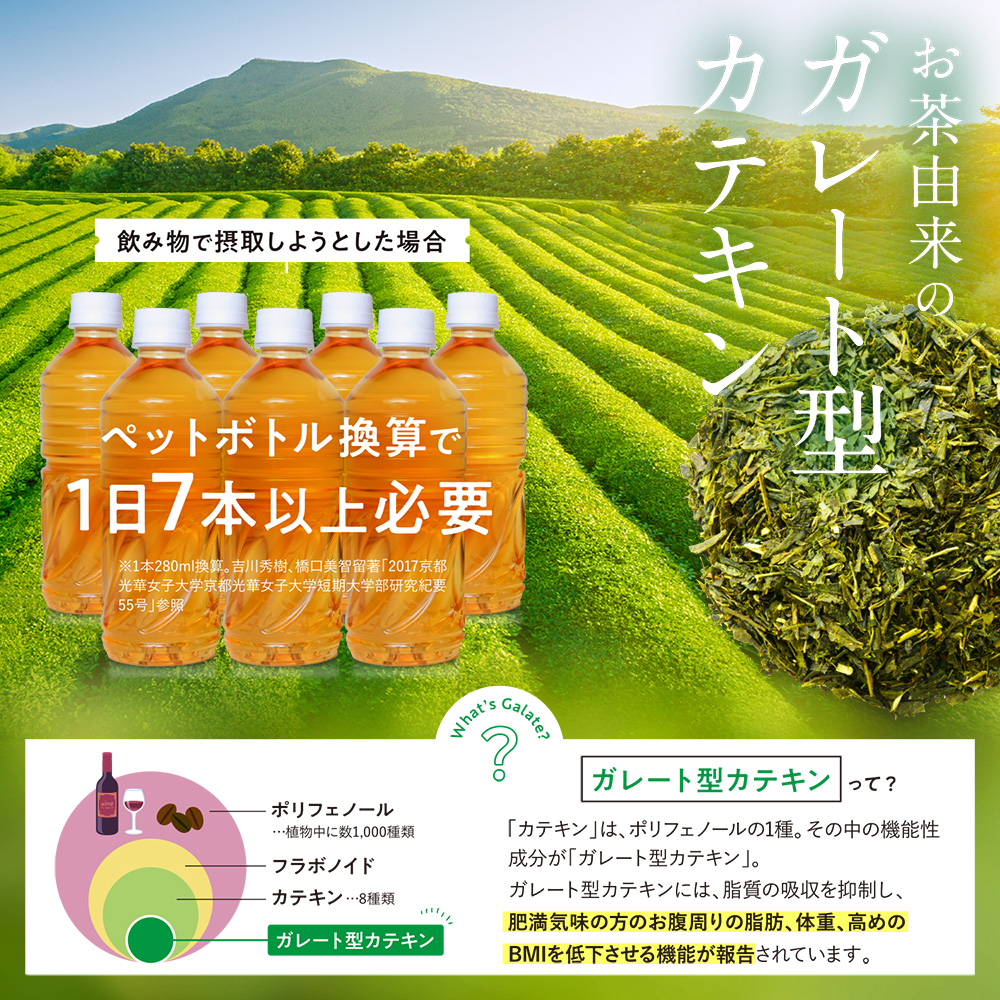 カテキンサプリのおすすめ人気ランキング【2026年6月】 | マイベスト