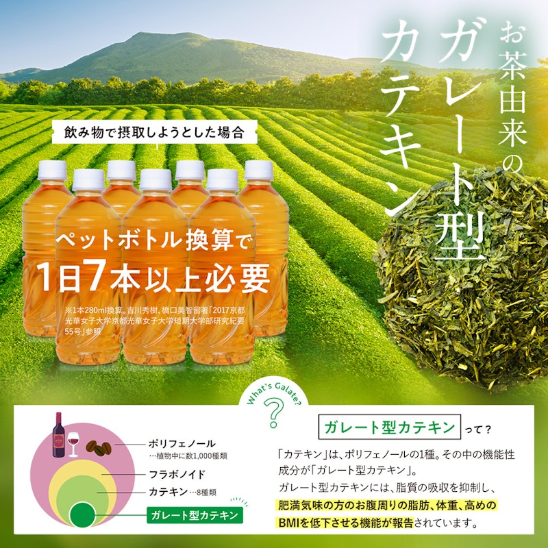 カテキン減脂粒 2