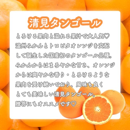 訳あり 柑橘 詰め合わせ 3