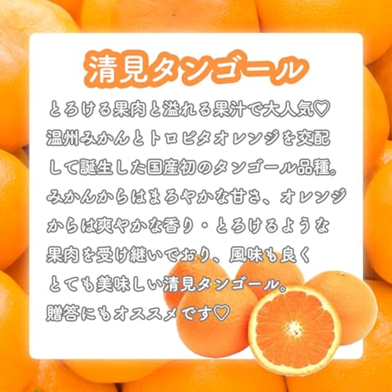 訳あり 柑橘 詰め合わせ 3