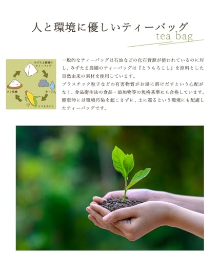 農薬も​化学肥料も​使わないで​育てた​お茶 2