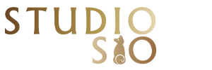 ペットと家族の写真館 STUDIO SIO 1