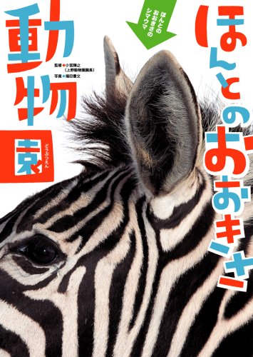 動物 図鑑9さつ 81tElhIHJiL._UF350,350_QL50_.jpg