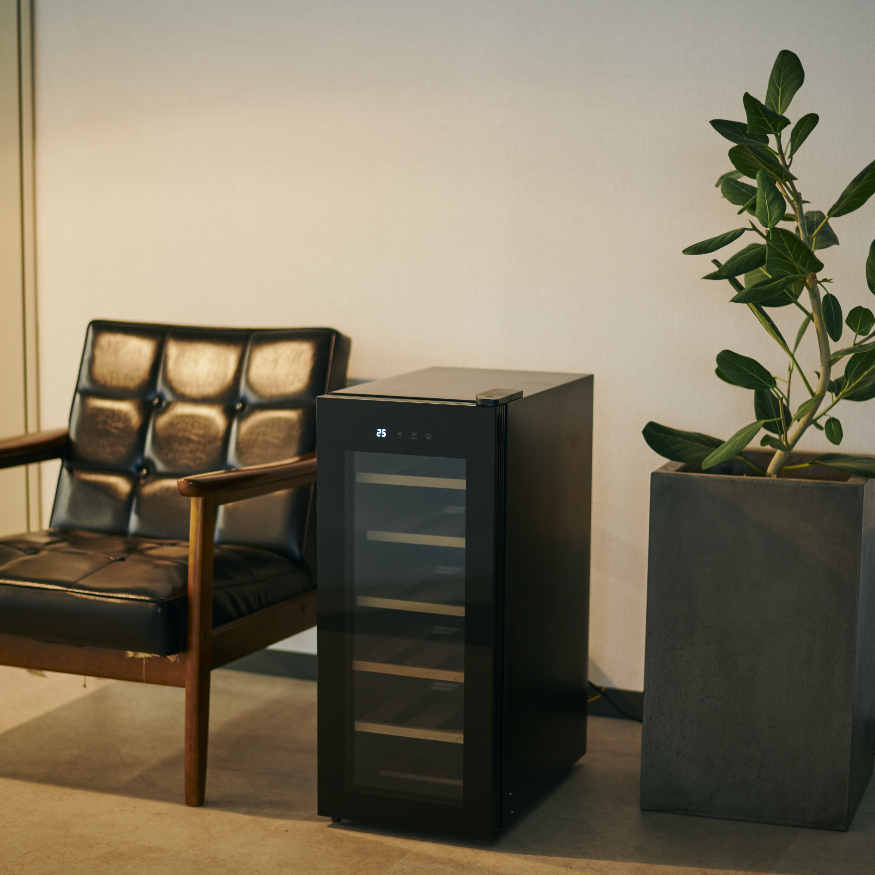 デンマート PlusQ ワインセラー BWC-012Pを検証レビュー！ワイン