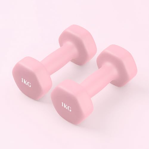 ダンベル 2