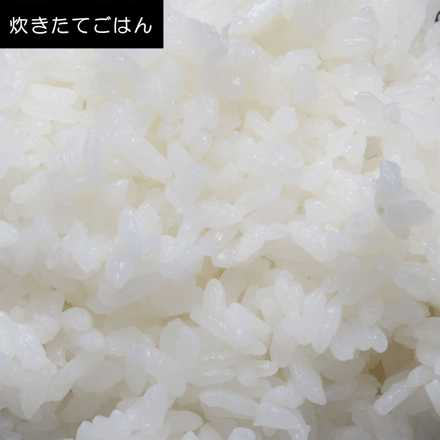 IH炊飯ジャー 12