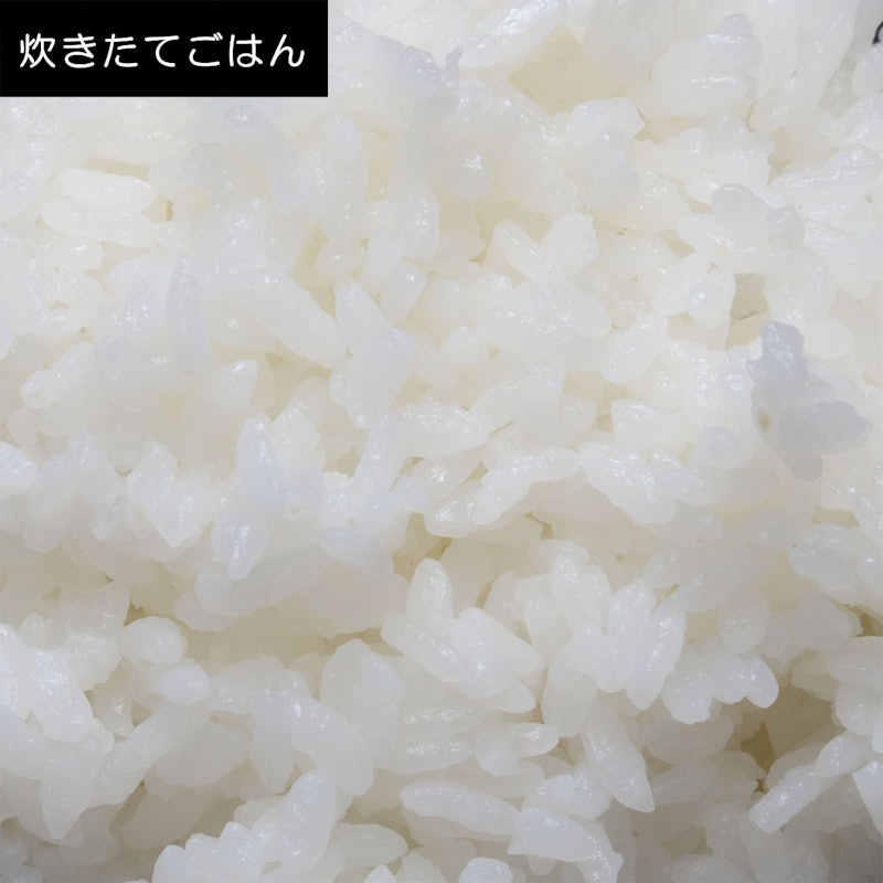 IH炊飯ジャー 12